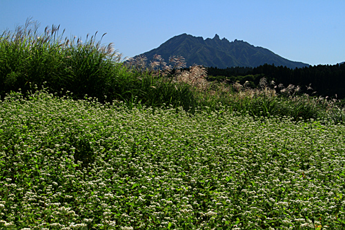 b0014607_20202881.jpg