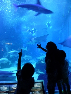b0223711_9574851.jpg