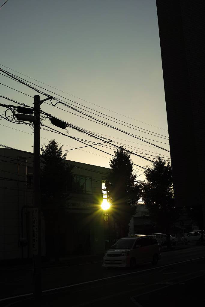 a0208113_231821100.jpg
