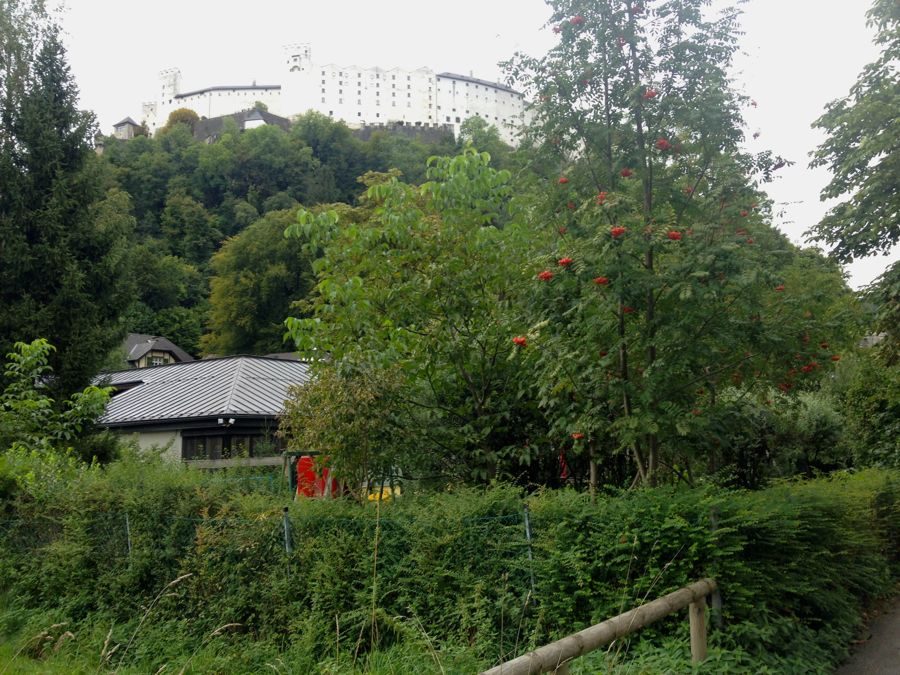 c0167813_1935245.jpg