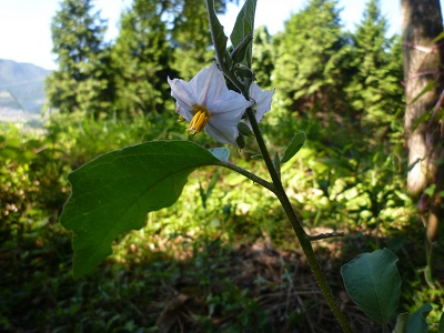 f0031420_103811100.jpg