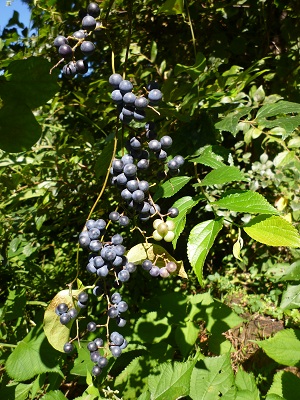 f0031420_103934100.jpg