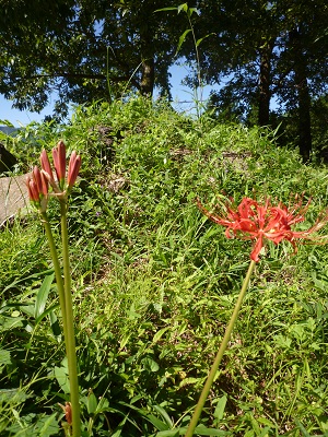 f0031420_10401721.jpg