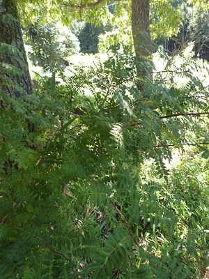 f0031420_1041127.jpg