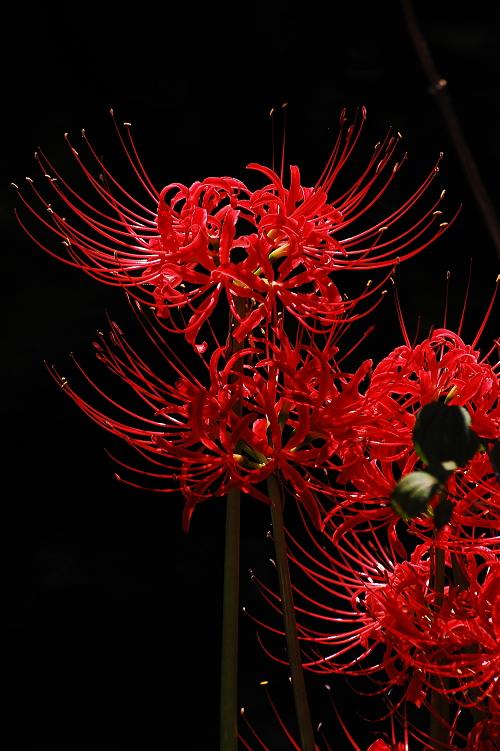 f0248120_23105041.jpg