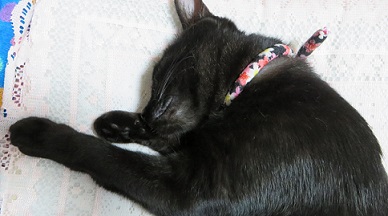 c0280322_2254448.jpg