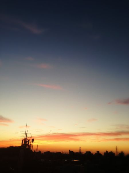 c0001023_1929504.jpg