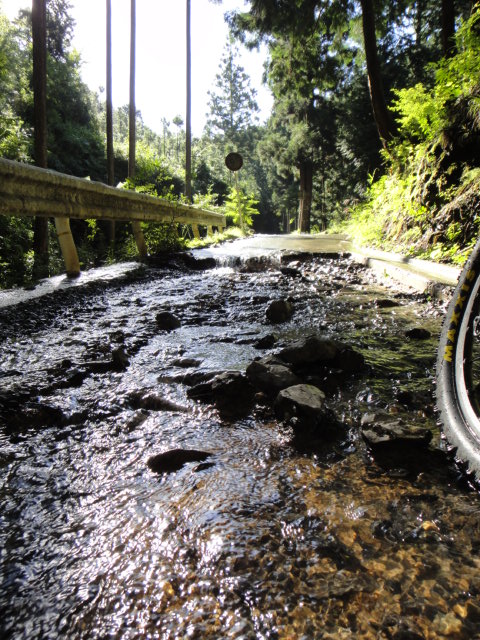 c0189724_14265559.jpg