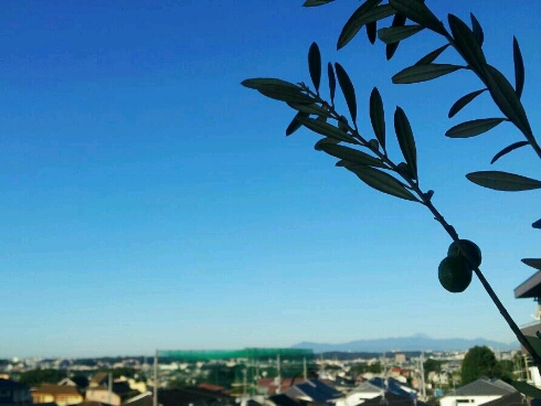 e0128526_6511269.jpg