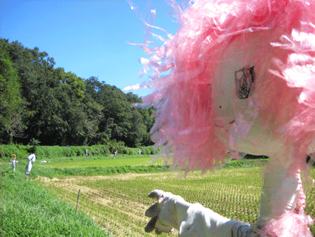 c0146127_1752484.gif