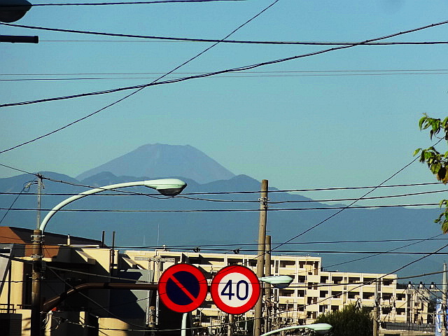e0016828_850451.jpg