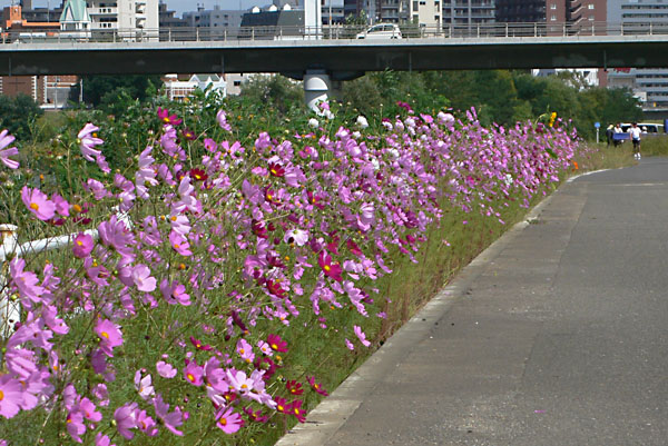 a0046429_2321852.jpg