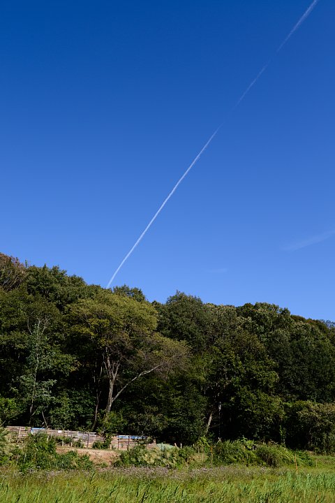 b0134829_20153648.jpg