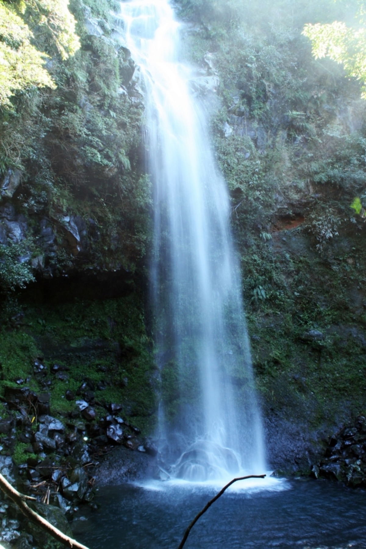e0033229_20433354.jpg