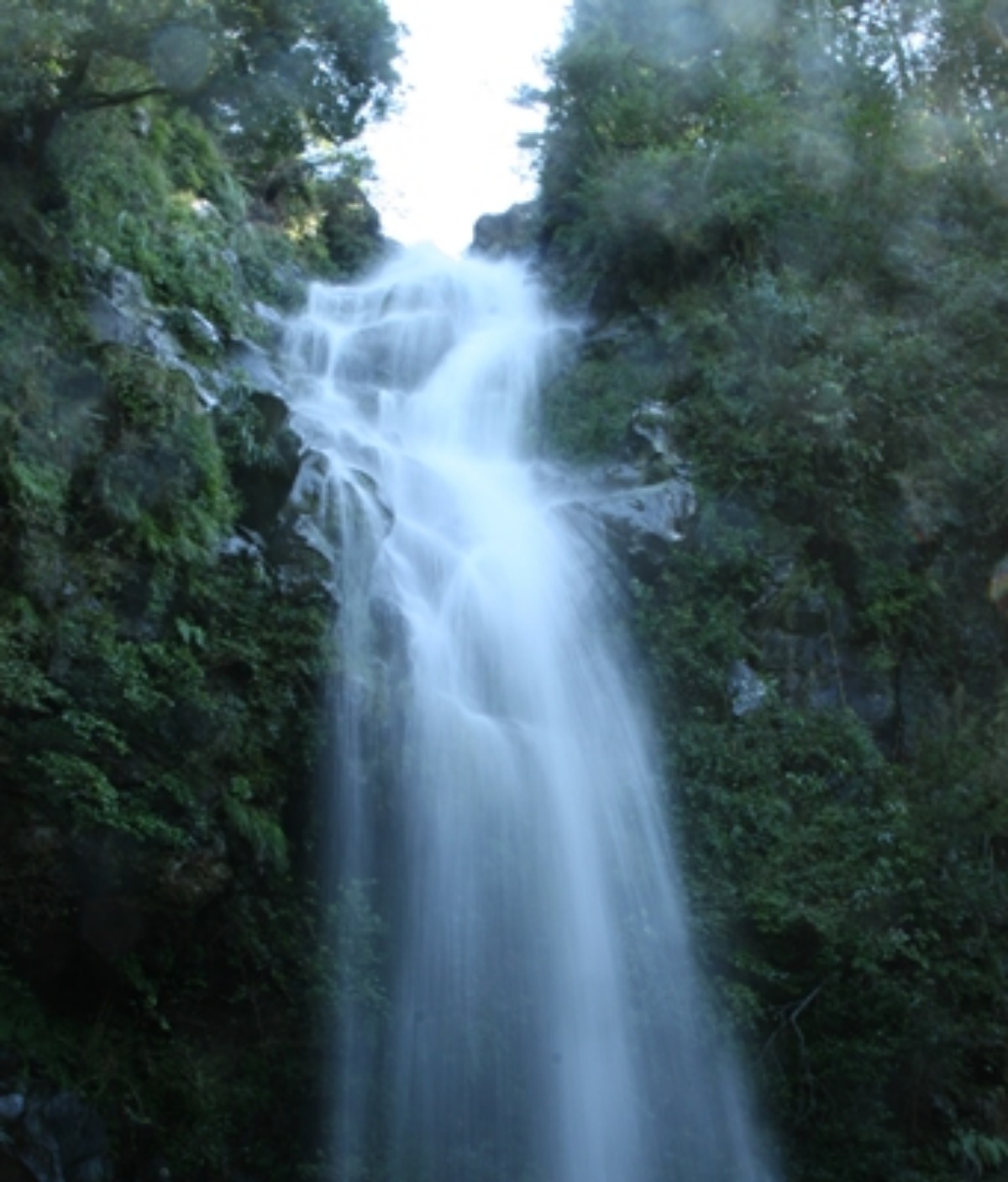 e0033229_20453655.jpg
