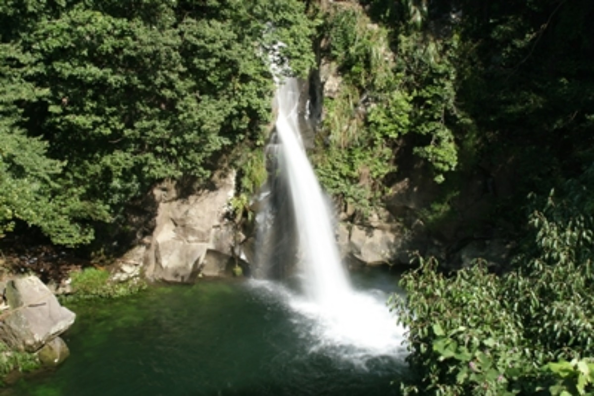 e0033229_2114270.jpg