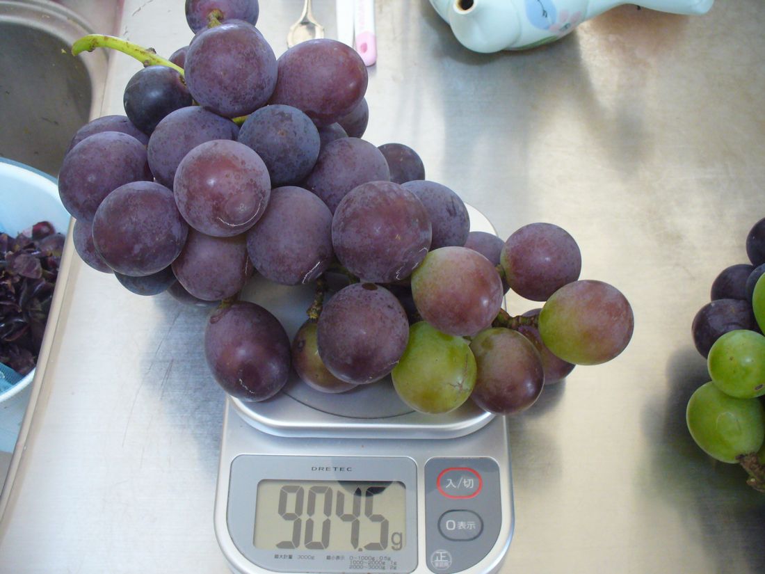 f0275632_22345377.jpg