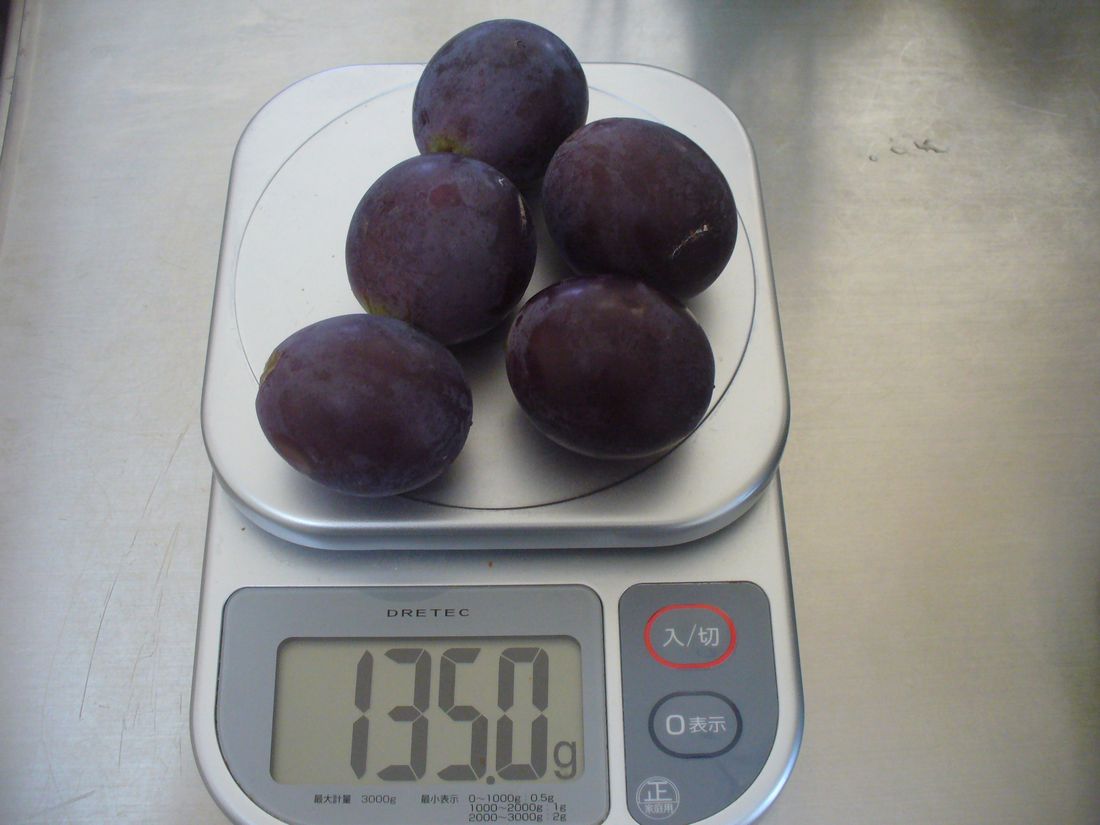 f0275632_2236963.jpg