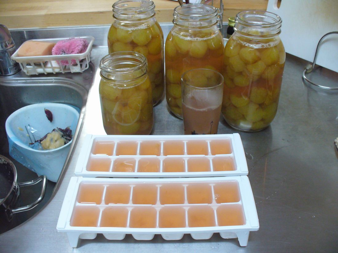 f0275632_2243237.jpg
