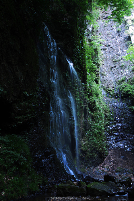c0189533_031743.jpg