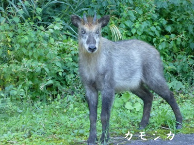 c0129834_17143547.jpg