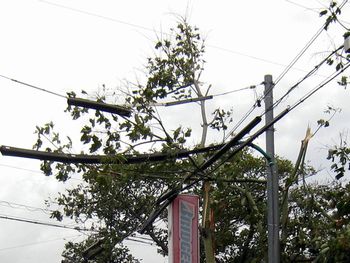 c0134734_23204592.jpg