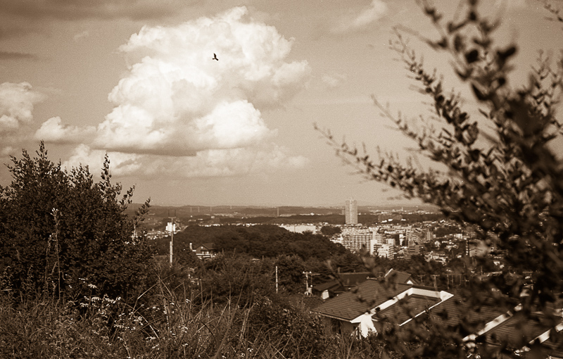 f0265234_21255424.jpg
