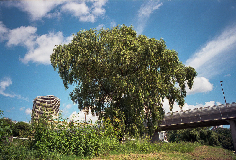 f0265234_21483783.jpg