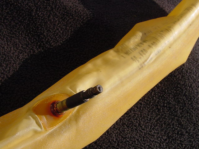 a0315936_1501838.jpg