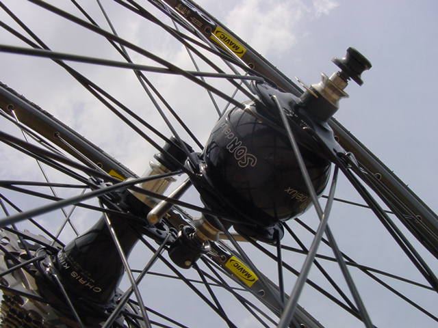 a0315936_1505357.jpg