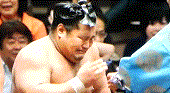 d0164636_18241126.gif