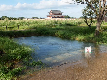 a0100742_92409.jpg