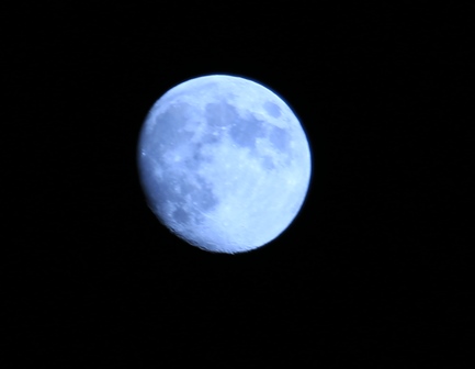d0163550_2236297.jpg