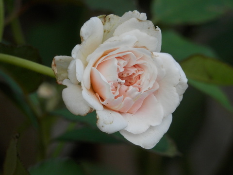 e0288951_1612457.jpg