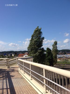 e0258753_1682026.jpg