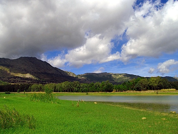 f0178153_5254968.jpg