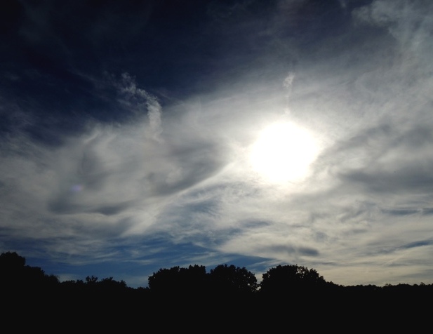 b0173754_13452577.jpg