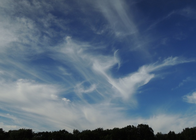 b0173754_13455797.jpg