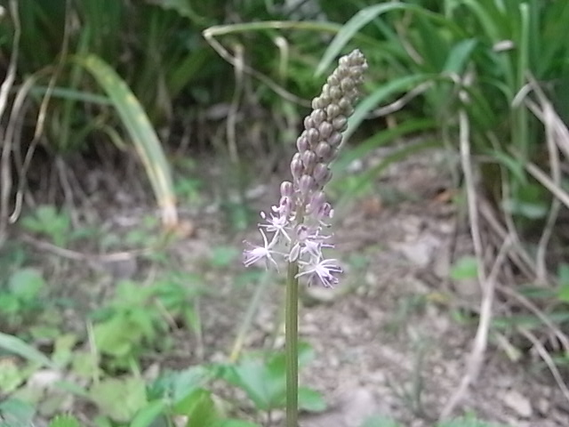a0146070_5553547.jpg