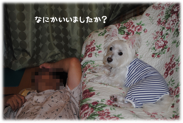 b0242873_14251311.png