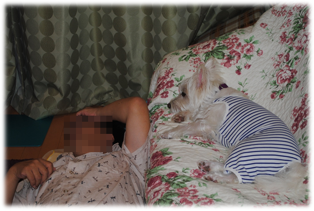 b0242873_1425853.png