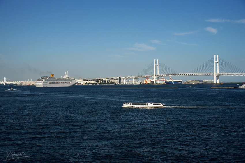 e0153076_22481396.jpg