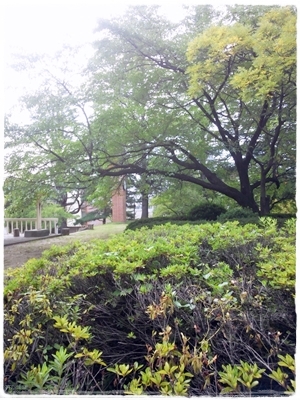 f0213476_0164137.jpg