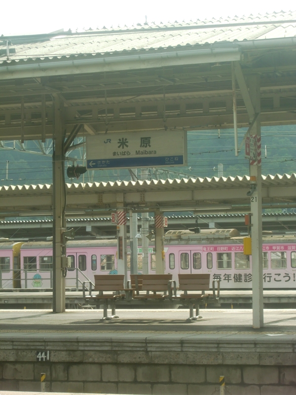 f0238779_815931.jpg
