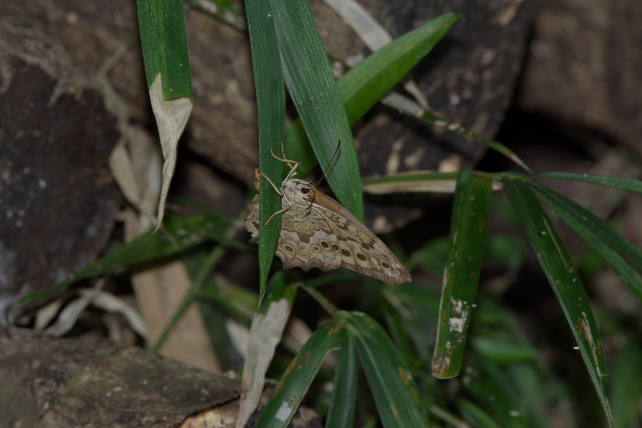 f0090680_2122965.jpg