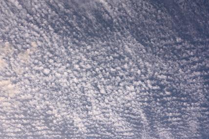 c0204385_18263326.jpg