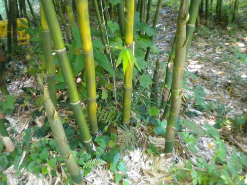 c0204385_18275956.jpg