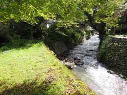 e0155085_2071432.jpg
