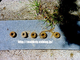 e0198587_17251140.jpg