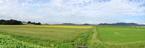 d0212491_23174586.jpg